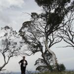 yrtleford - Avventura con il 4x4 sul mt. buffalo national park.